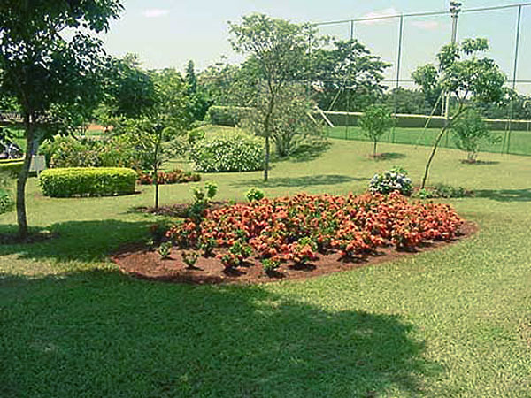 Áreas Verdes
